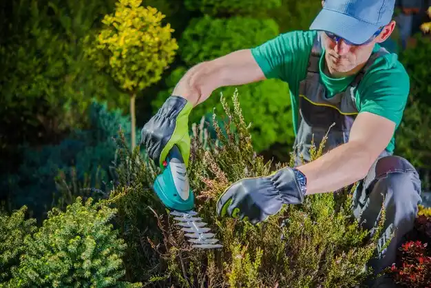 landscaping services Bangor